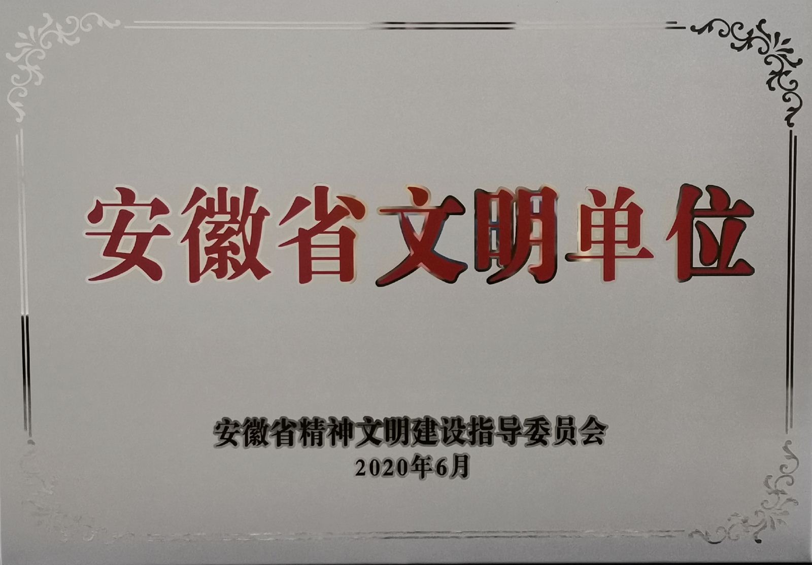 电子pg下载入口