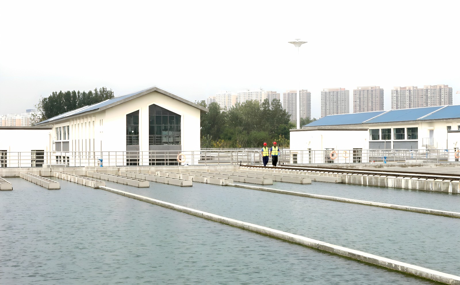 1728371713a632628.jpg 7.jpg